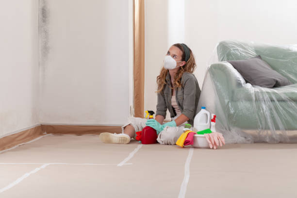 Reliable Basement Mold Remediation contractor in Clayton, NC by WQB Mold Removal